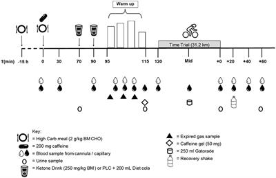 Ketone Diester Ingestion Impairs Time-Trial Performance in Professional Cyclists